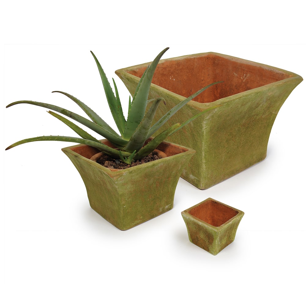 Mimi Planter