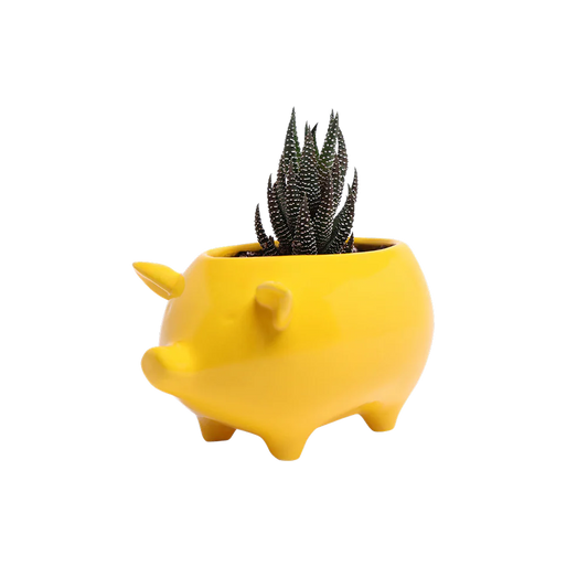 Ceramic Pig