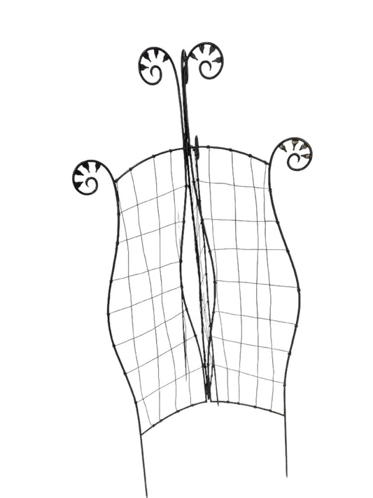 Fern Trellis