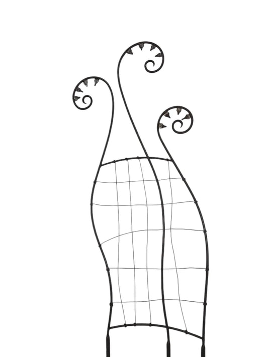 Fern Trellis