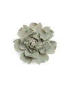 Pistachio Green Rose