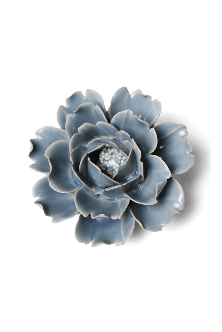 Pastel Blue Rose