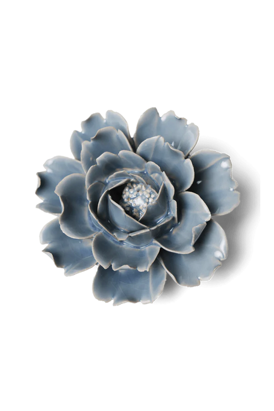 Pastel Blue Rose