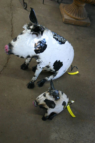 Black and White Pig