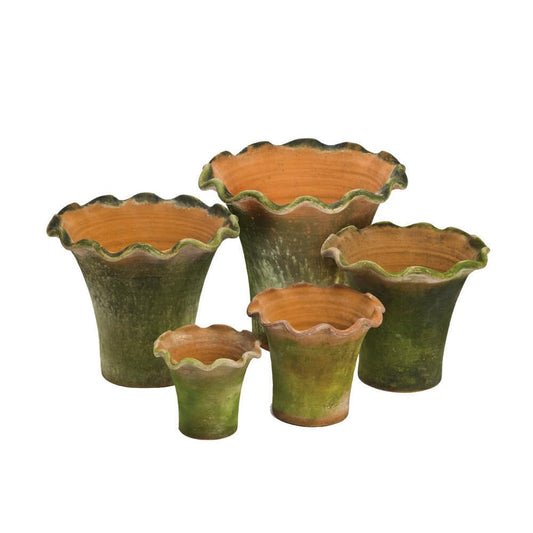Scallop Planter