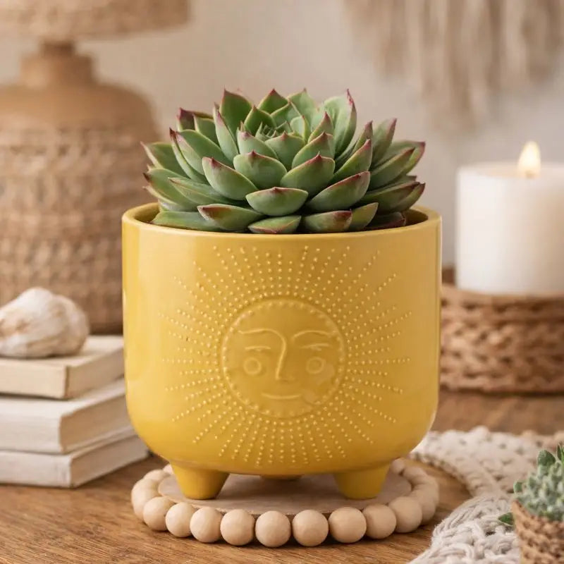 Yellow Sun Footed Cache Pot