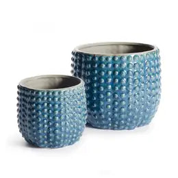 Urchin Pots