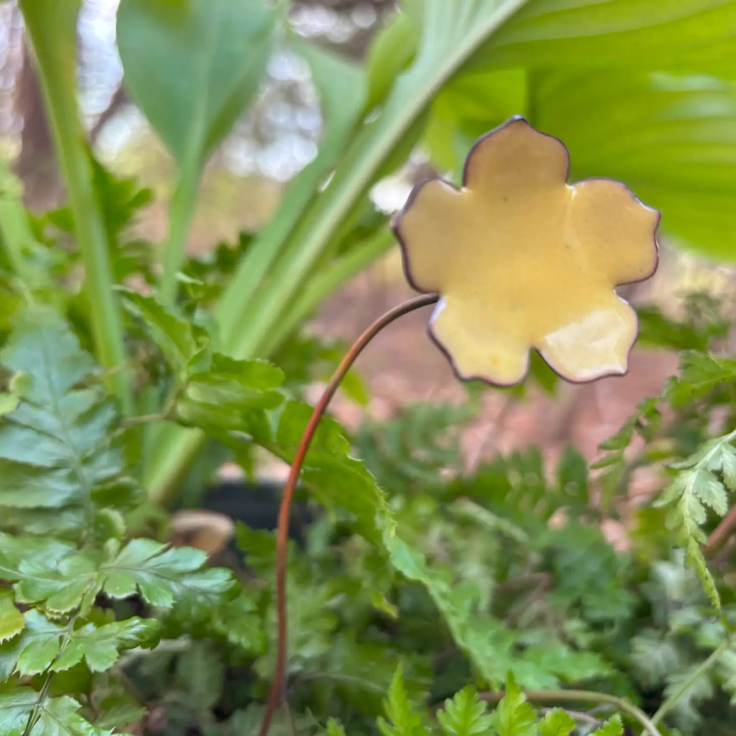 Petal Enamel  Flowers