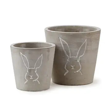 Peter Rabbit Pots