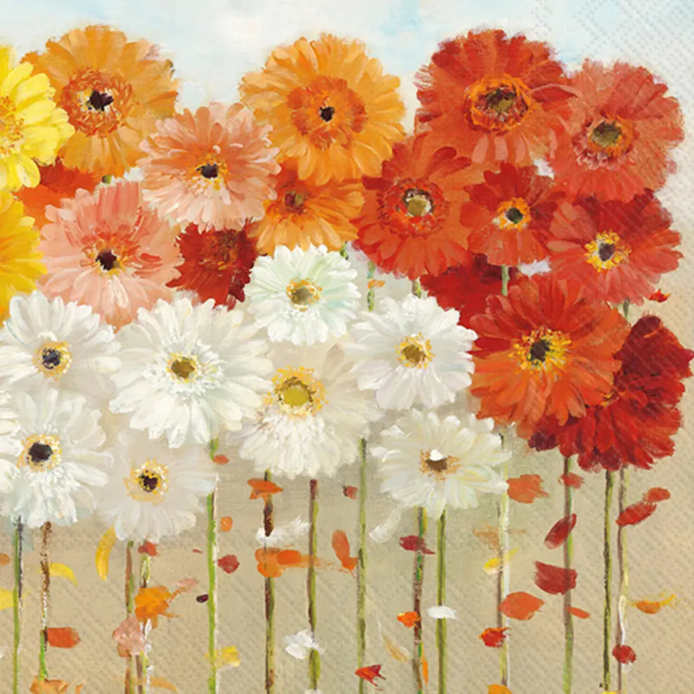 Fall Daisies Cocktail Napkis