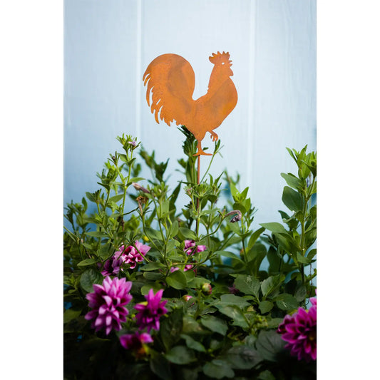 Rooster Stake