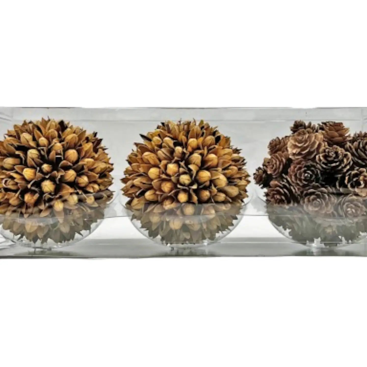 Honey Dried Orbs