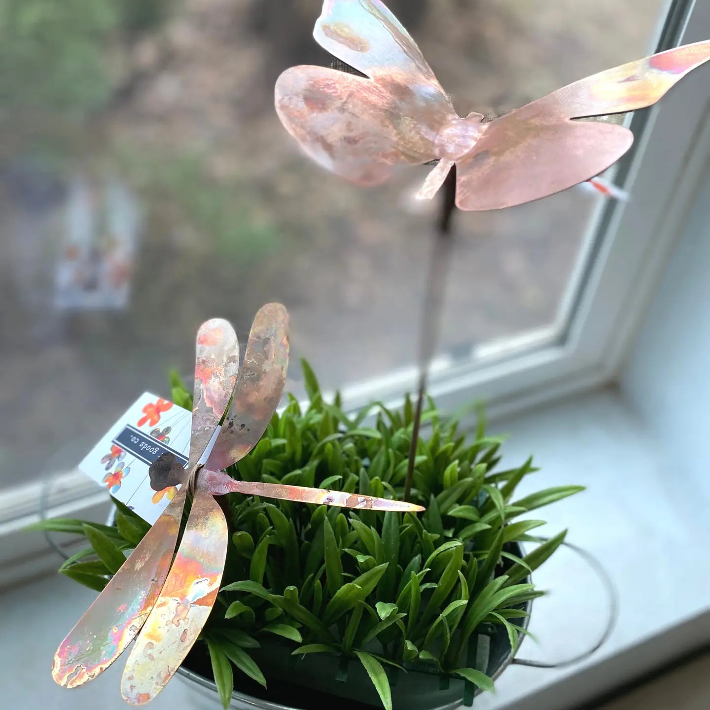 Copper Dragonfly