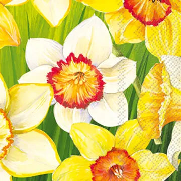 Daffodil Guest Towels