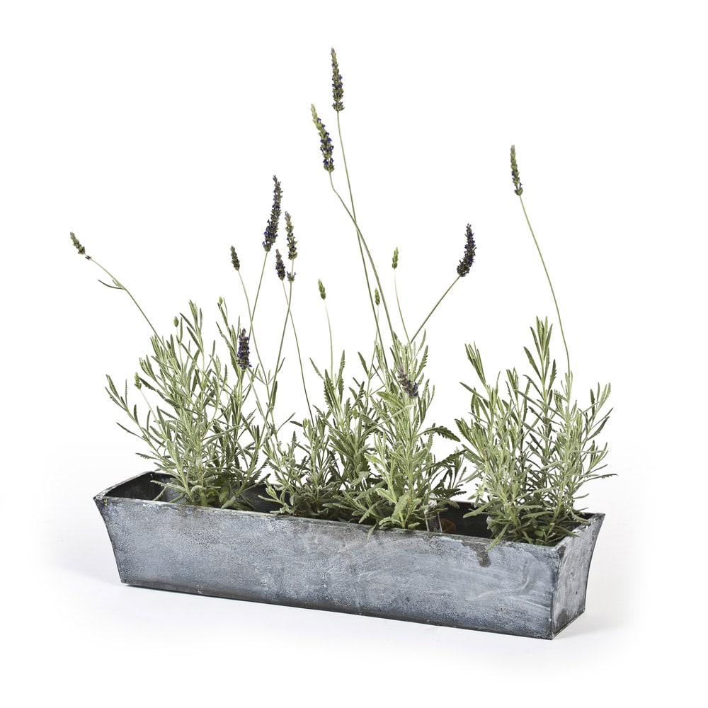 Mimi Zinc Containers