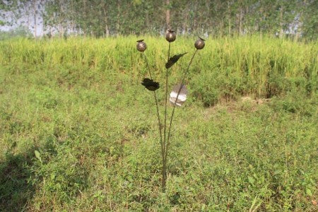 Metal Poppy Seed Heads Cluster on a Stake