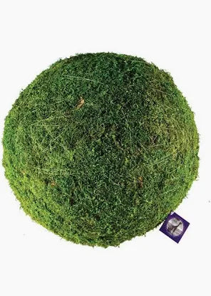 Natural Moss Orb, sphere, ball