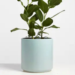 5" Cylinder Pot planter