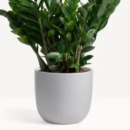 Planter, Ceramic egg 7", pot