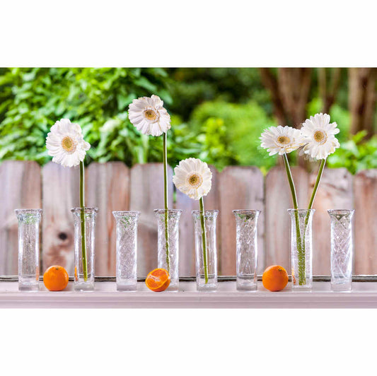 Glass Bud Vase, Set of 4
