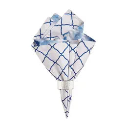 Blue Napkins