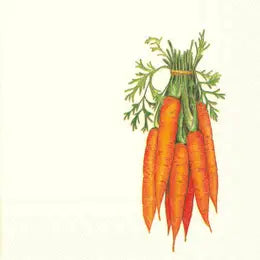 Carrot Cocktail Napkins