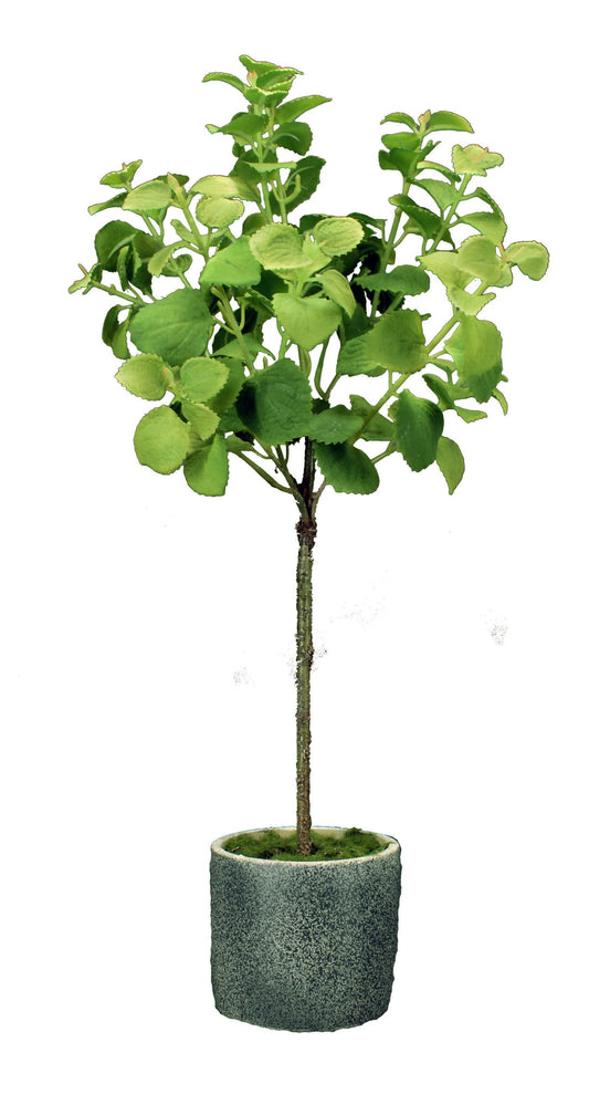 Mint Leaf Pot, artificial, mini tree