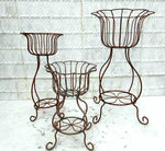 Tulip Planters, flower plant stand