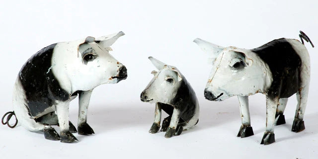 Black and White Pigs