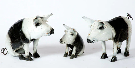 Black and White Pigs