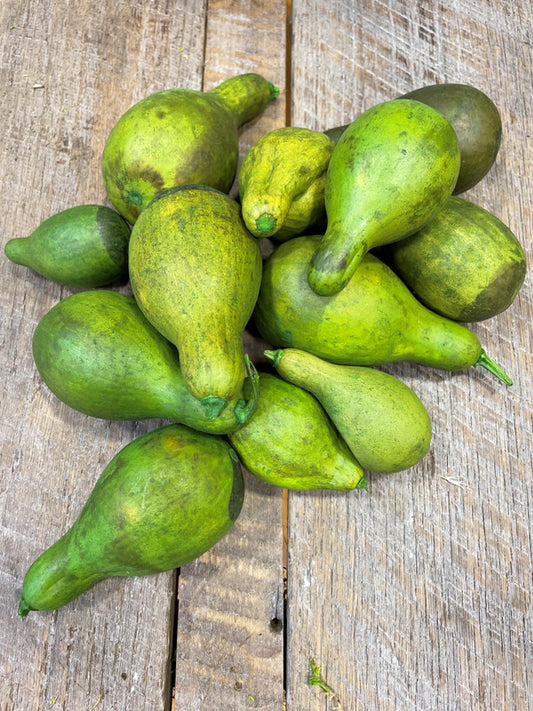 Green Gourds
